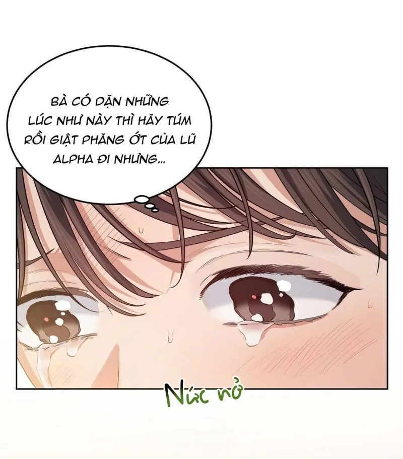 Bánh Anh Đào - Chap 19